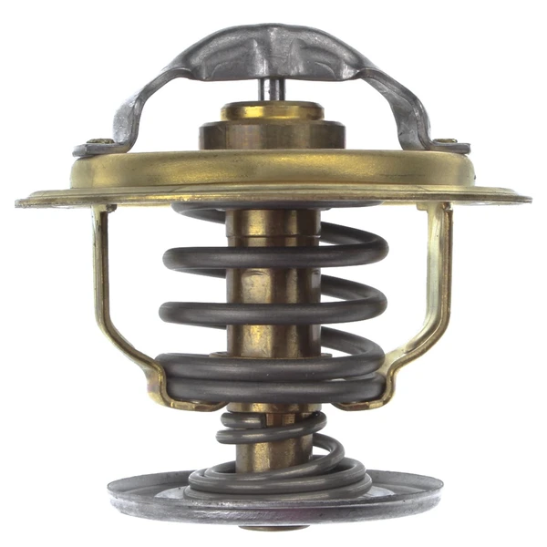 Engine Coolant Thermostat - Mahle TX 109 87D