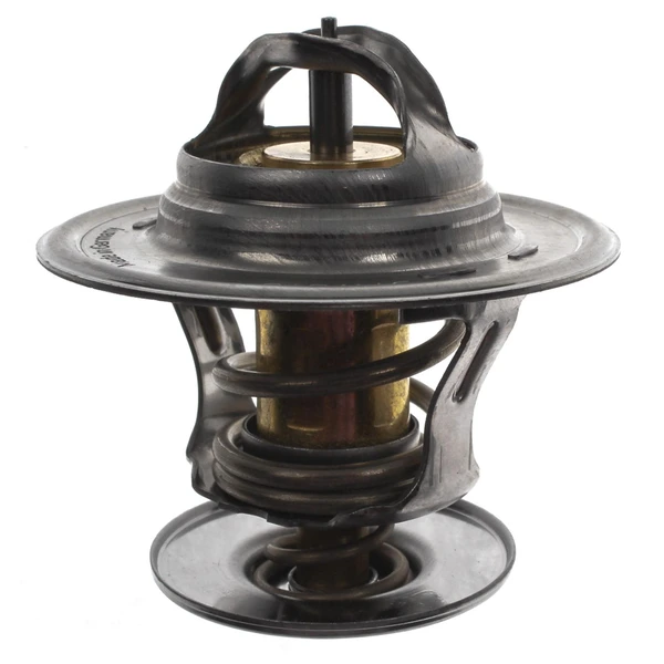 Engine Coolant Thermostat - Mahle TX 13 92D