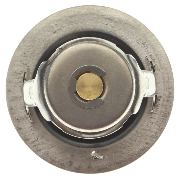 Engine Coolant Thermostat - Mahle TX 142 82D