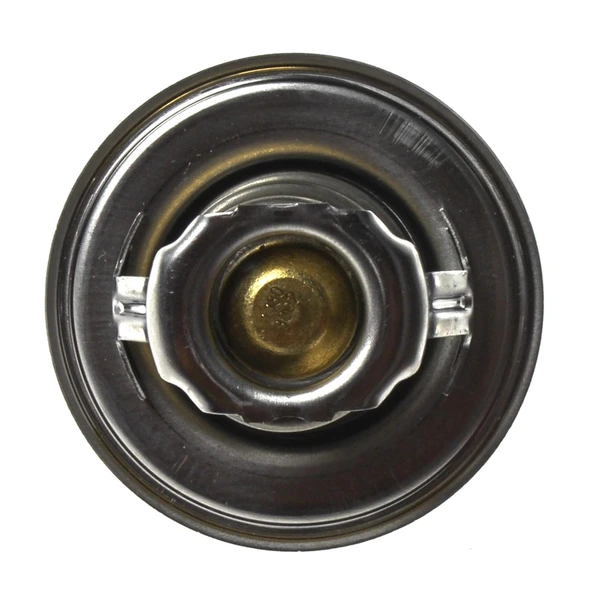 Engine Coolant Thermostat - Mahle TX 14 80D