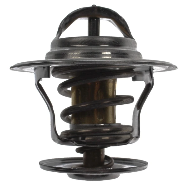 Engine Coolant Thermostat - Mahle TX 15 87D