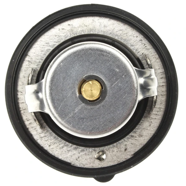 Engine Coolant Thermostat - Mahle TX 160 82