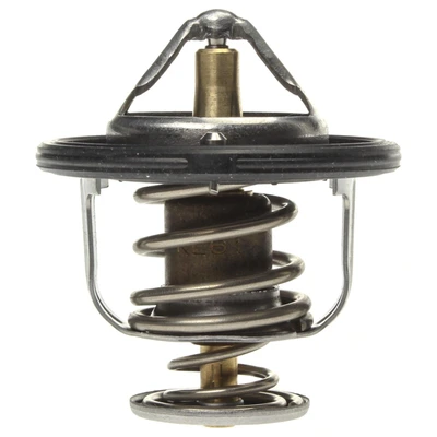 Engine Coolant Thermostat - Mahle TX 160 82