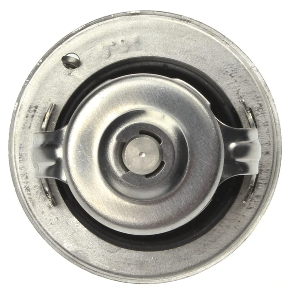 Engine Coolant Thermostat - Mahle TX 161 82D