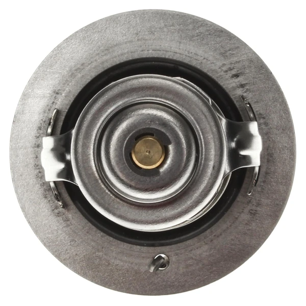 Engine Coolant Thermostat - Mahle TX 167 82D