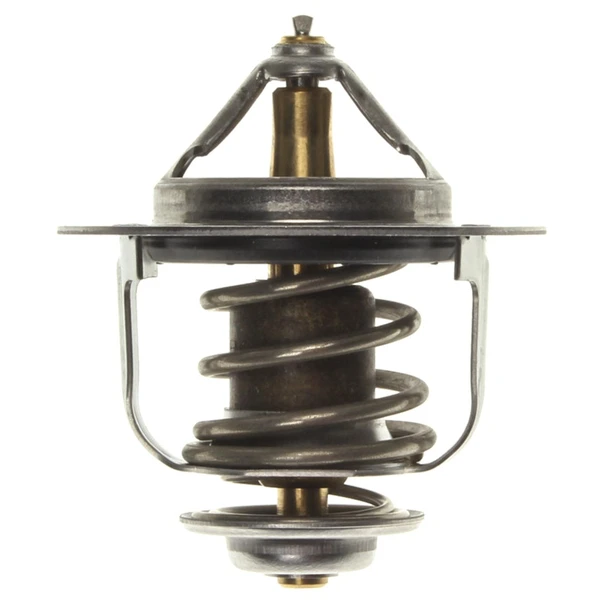 Engine Coolant Thermostat - Mahle TX 167 82D