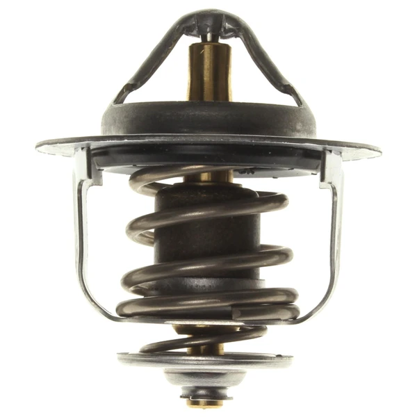 Engine Coolant Thermostat - Mahle TX 170 77