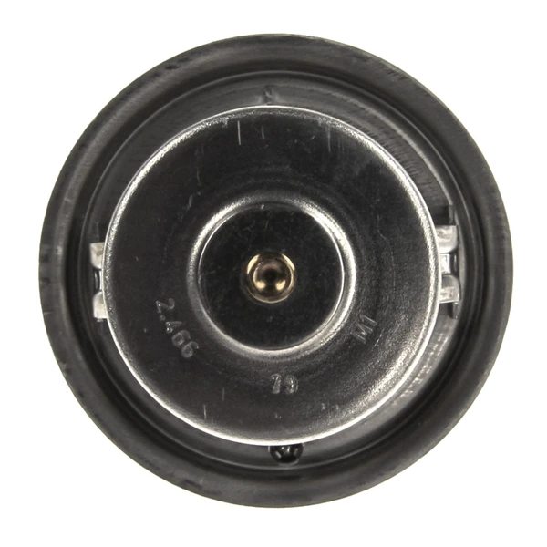 Engine Coolant Thermostat - Mahle TX 18 79D