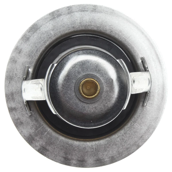 Engine Coolant Thermostat - Mahle TX 202 90D