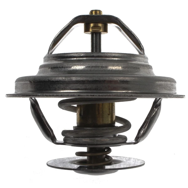 Engine Coolant Thermostat - Mahle TX 20 80D