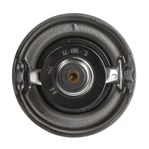 Engine Coolant Thermostat - Mahle TX 27 71D