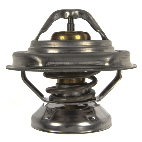 Engine Coolant Thermostat - Mahle TX 29 80D