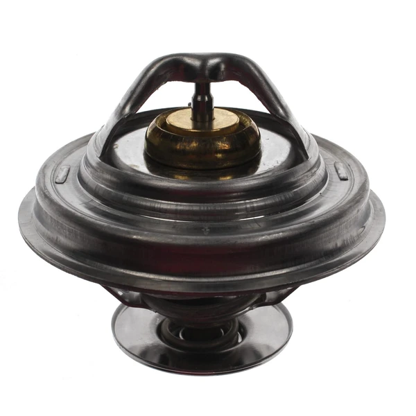 Engine Coolant Thermostat - Mahle TX 30 71D