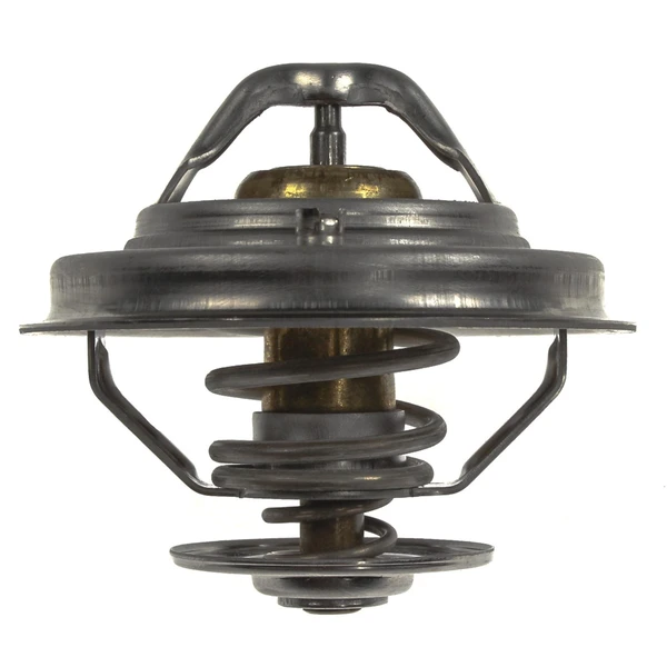 Engine Coolant Thermostat - Mahle TX 30 80D