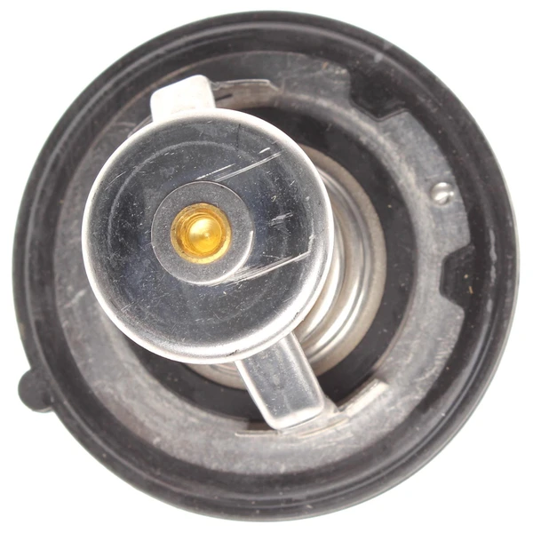 Engine Coolant Thermostat - Mahle TX 344 82