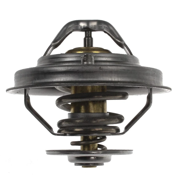 Engine Coolant Thermostat - Mahle TX 34 82D