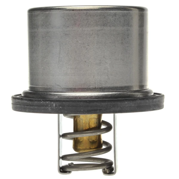 Engine Coolant Thermostat - Mahle TX 37 79