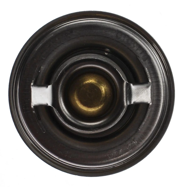 Engine Coolant Thermostat - Mahle TX 3 79D