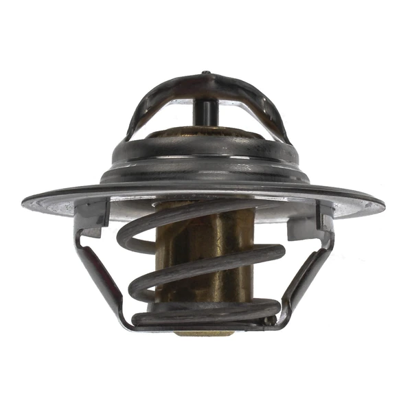 Engine Coolant Thermostat - Mahle TX 3 79D