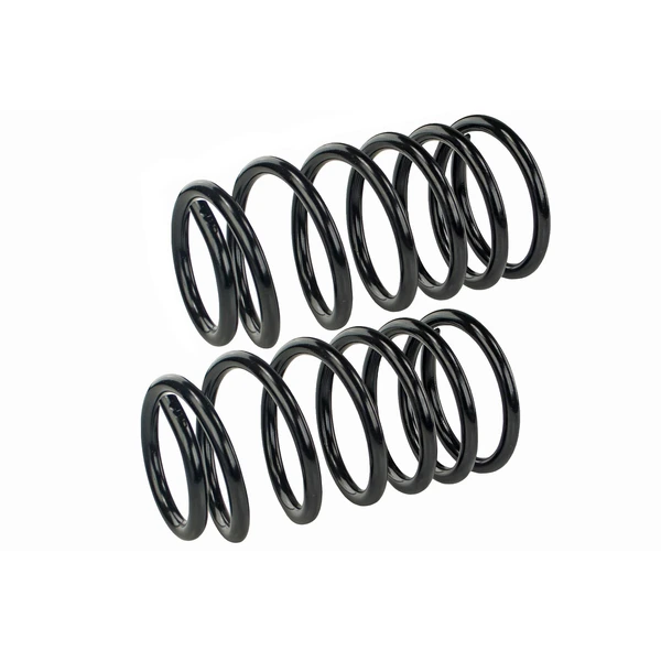 Mevotech SMS255V Coil Spring Set, Rear Side