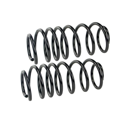 Mevotech SMS258V Coil Spring Set, Front Side