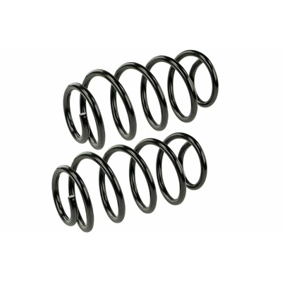 Mevotech SMS250134 Coil Spring Set, Front Side