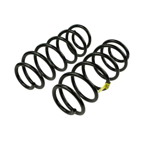 Mevotech SMS250179 Coil Spring Set, Front Side