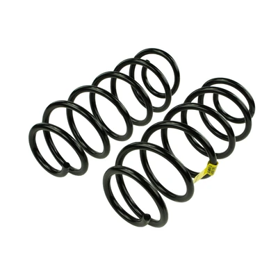 Mevotech SMS250180 Coil Spring Set, Front Side
