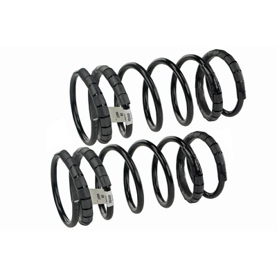 Mevotech SMS269V Coil Spring Set, Rear Side