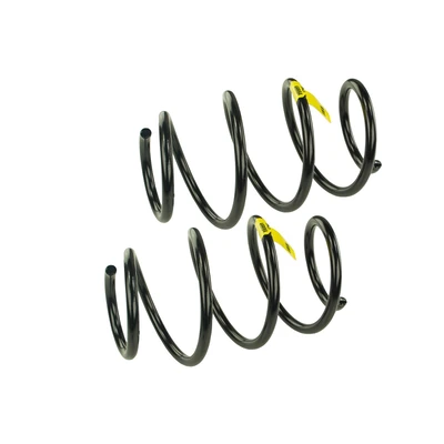 Mevotech SMS30030 Coil Spring Set, Front Side
