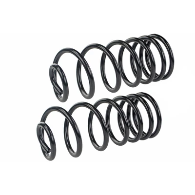 Mevotech SMS511V Coil Spring Set, Rear Side