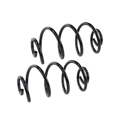 Mevotech SMS5399 Coil Spring Set, Rear Side
