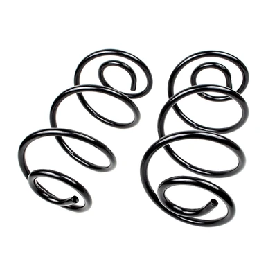 Mevotech SMS5401 Coil Spring Set, Rear Side