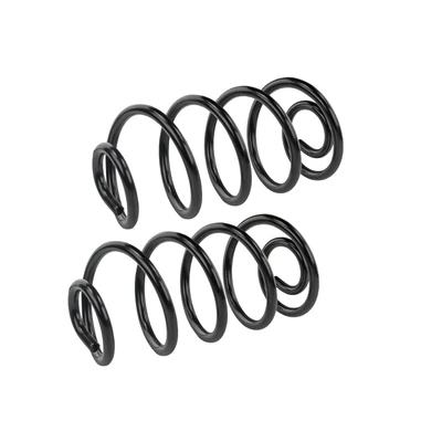 Mevotech SMS5415 Coil Spring Set, Rear Side
