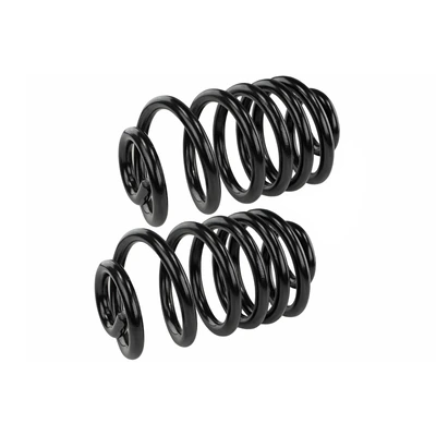 Mevotech SMS603V Coil Spring Set, Rear Side