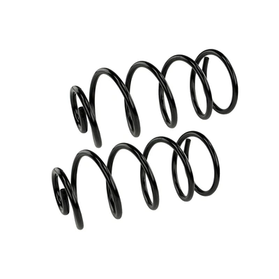 Mevotech SMS6197 Coil Spring Set, Rear Side