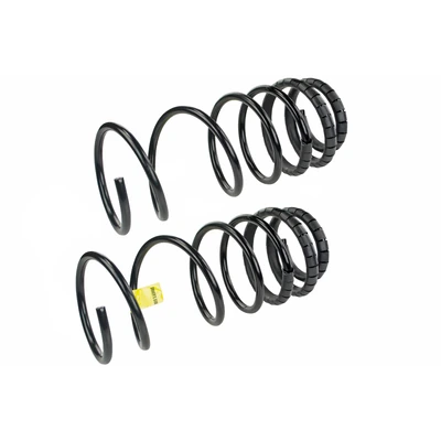 Mevotech SMS760V Coil Spring Set, Front Side