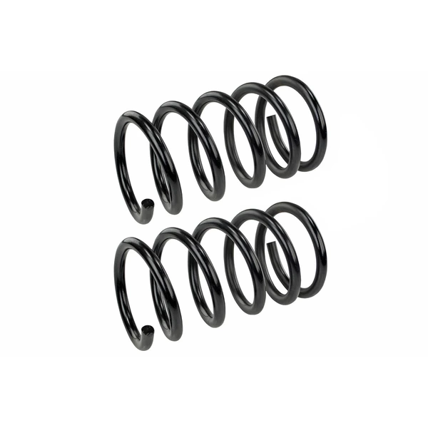 Mevotech SMS80657 Coil Spring Set, Rear Side