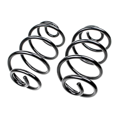 Mevotech SMS81011 Coil Spring Set, Rear Side