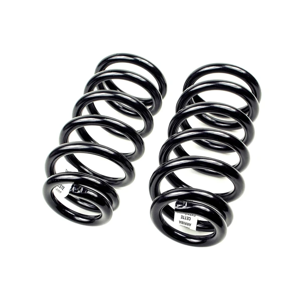 Mevotech SMS81095 Coil Spring Set, Rear Side