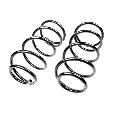 Mevotech SMS81160 Coil Spring Set, Front Side