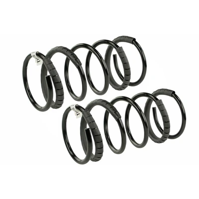 Mevotech SMS9636 Coil Spring Set, Front Side