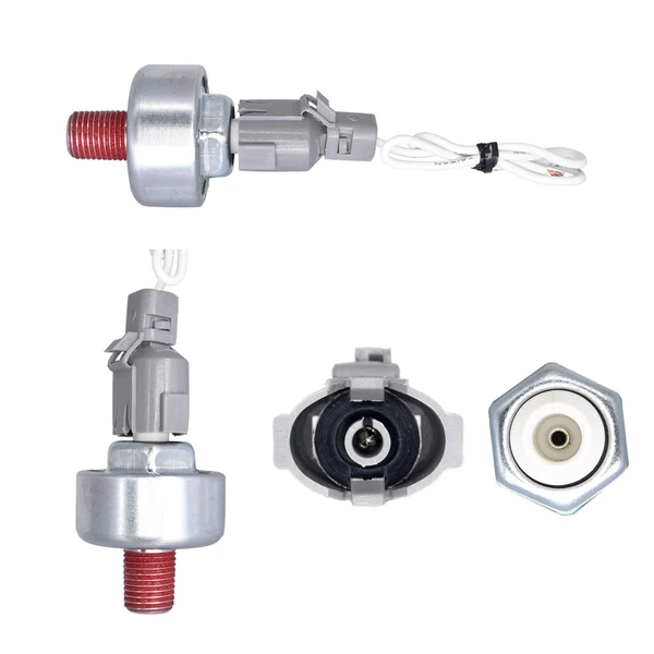 Walker Products 242-91022 Ignition Knock (Detonation) Sensor