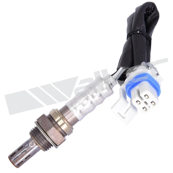 Walker Products 250-24836 Oxygen Sensor