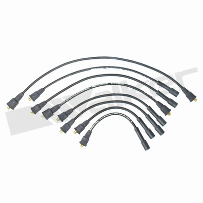 Walker Products 924-1343 Spark Plug Wire Set