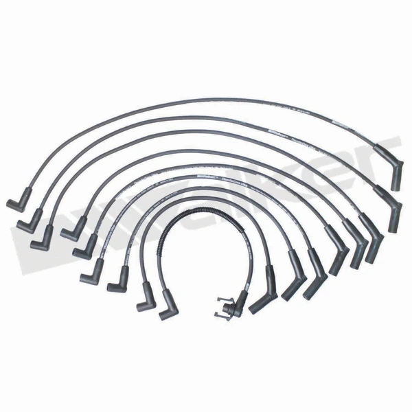 Walker Products 924-1440 Spark Plug Wire Set