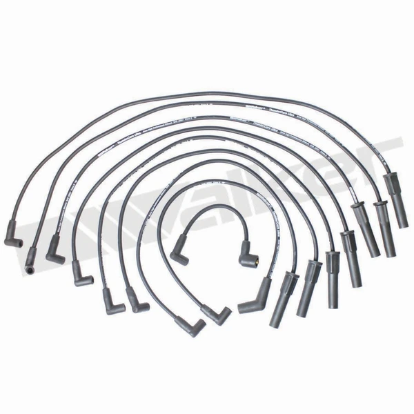 Walker Products 924-1442 Spark Plug Wire Set