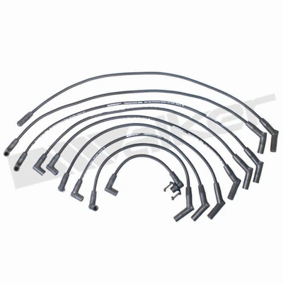 Walker Products 924-1443 Spark Plug Wire Set