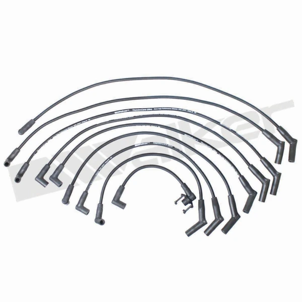 Walker Products 924-1443 Spark Plug Wire Set
