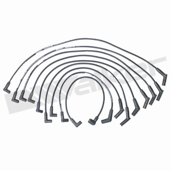 Walker Products 924-1448 Spark Plug Wire Set